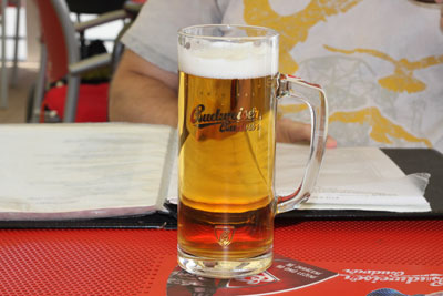 Budějovický Budvar Svetlé Výcepní Pivo